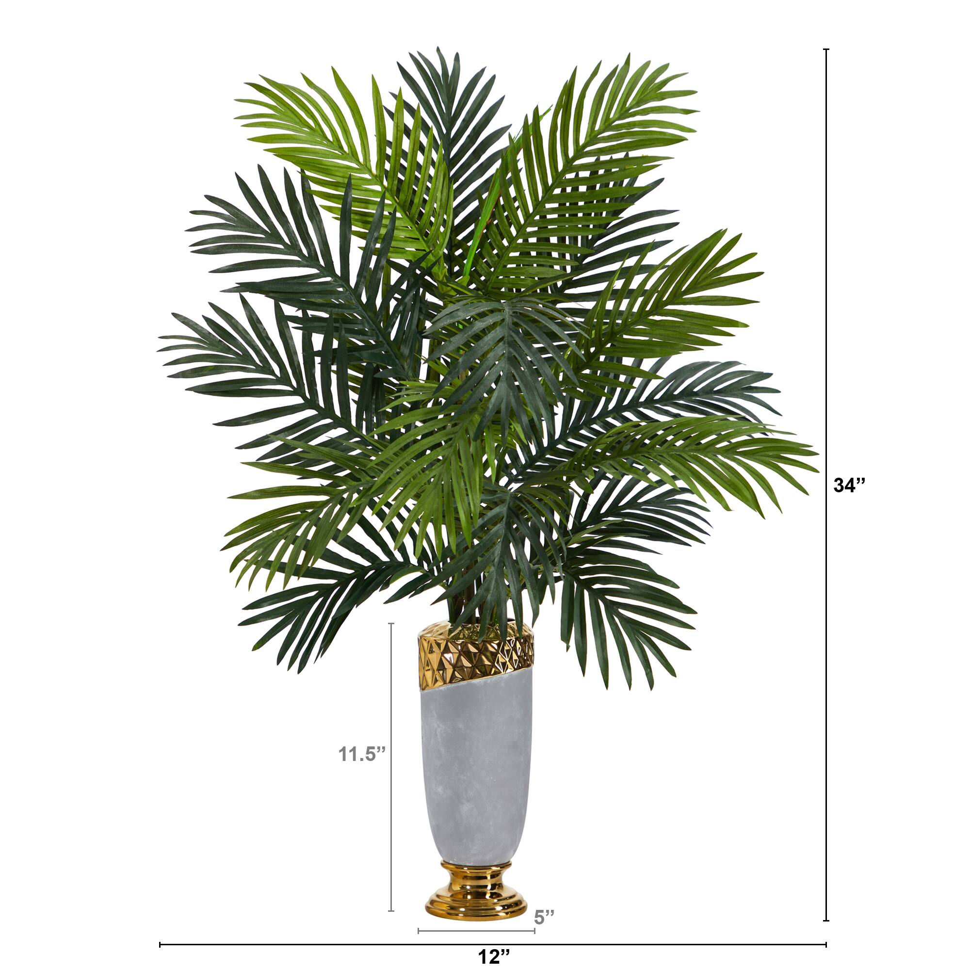 3ft. Areca Palm Plant in Designer Planter